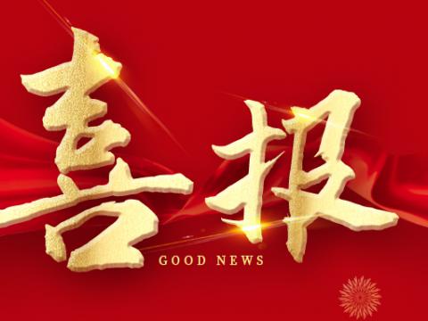 利来老牌国际官网app电气荣膺江苏省制造业领航企业